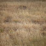 4月16日双色球开奖号码公布,彩民期待大奖花落谁家 9c2lb4po0