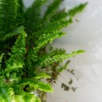 深入了解澳门葡京赌场平台的优惠活动与会员福利 f5d9d21ce