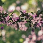 深入了解老虎机下载平台的游戏种类与玩法介绍 ujz19zrtt