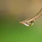 深入了解澳门新濠天地平台的独特魅力与旅游体验 vap45