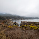 JRS直播官网——高清体育赛事在线观看平台 764ezhh