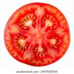 JRS直播吧体育:畅享高清赛事直播的终极平台 e17vay