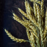 JRS直播突然无法观看,原因何在及解决途径 r3ef18