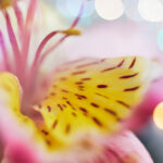 JRS爱直播:体育迷的专属互动观赛平台 rg8h4h