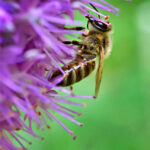 JRS直播吧NBA直播全程高清免费观看入口 tsd22i8jo